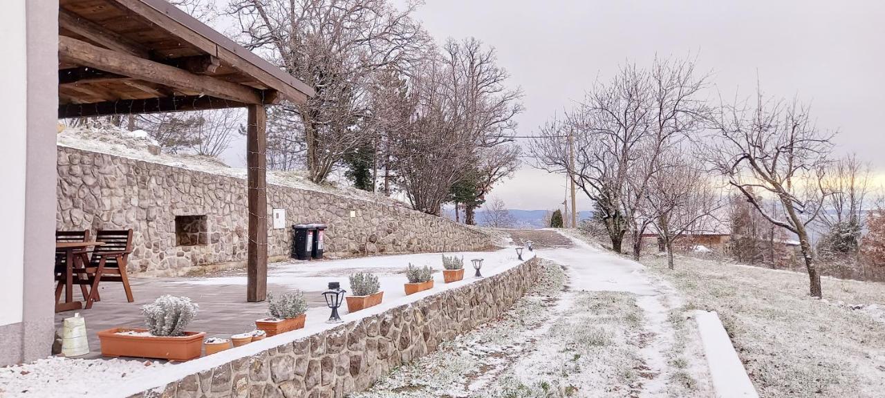 Semesterbostad 'villa Fani' With Jacuzzi